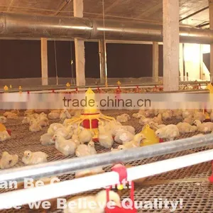 Hot Sale Birdsitter Hot Dip Galvanized Chicken Farming Poultry Feeding System thumbnail-2