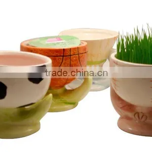 Play Football Grass Toy thumbnail-1