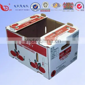 Anhui Factory High Quality Custom Fruit and Vegetable Packaging Box thumbnail-5