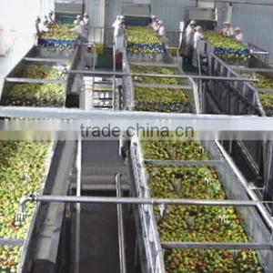 7 Tons Tomato Jam Production Line thumbnail-1