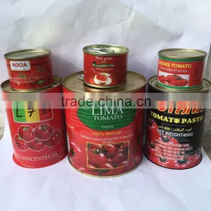 Canned Tomato Paste Factory,with Double Concentrated 28-30% thumbnail-3