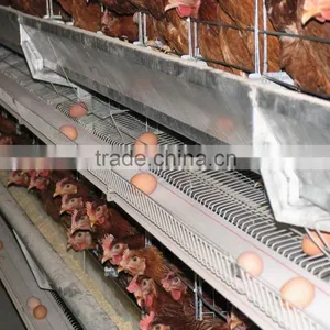 Egg Guard thumbnail-1