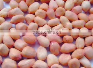 Supply High Quality Peanut Kernels thumbnail-1