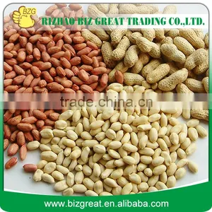 Peanut Kernels 38-42, 28-32, 24-28 thumbnail-1
