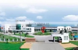 Shandong Himile Valve Co., Ltd. company overview - view 1 thumbnail