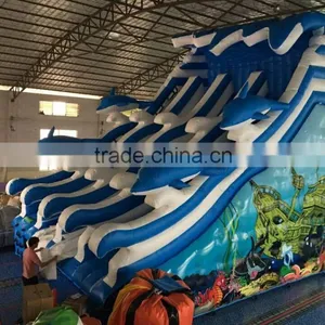 Amusement Park Slide for Sale,commercial Inflatable Slide thumbnail-2