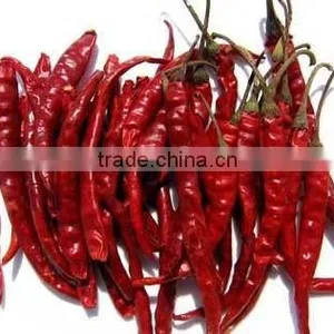 Indian Chilli for Sale thumbnail-1