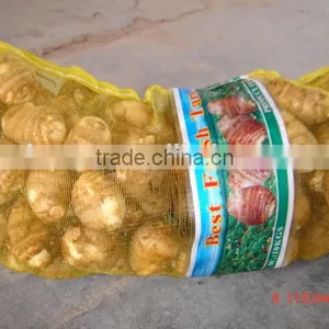 Fresh Shandong Taro thumbnail-5