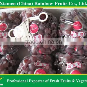 Fresh Red Globe Grape From Yunnan China thumbnail-3