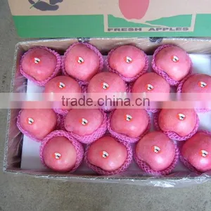 Fruit Apple Rich of Vitamin thumbnail-1