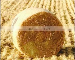 Straw Hay Bale, Animal Filler Hay, Wheat Straw Hay, Wheat Hay Bale, Straw Bale, Straw Hay thumbnail-1