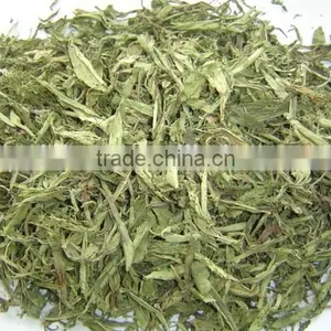 Stevia Leaves thumbnail-3