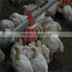 360 Feed Pans for Successful Broiler Feeding thumbnail-1