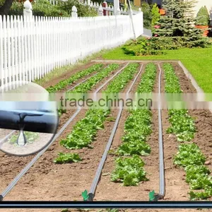 Linear Type Double Line Drip Tape for Drip Irrigation System thumbnail-5