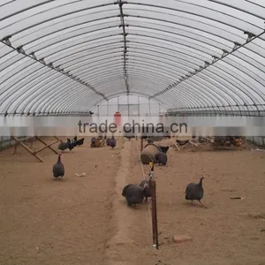 Fire Retardant Chicken Greenhouse ,chicken House ,fiberglass Chicken Shed thumbnail-2