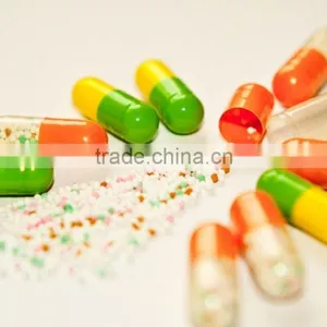 High Precision NJP-800c Fully Automatic Small Capsule Filler for Medicine Capsule thumbnail-2