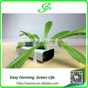 Factory Price Greenhouse Project Hydroponics in Pvc Pipe thumbnail-1