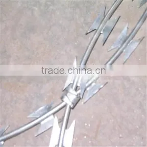 Flat Razor Barbed Wire Goods in Stock (strict Quality Control System) thumbnail-1