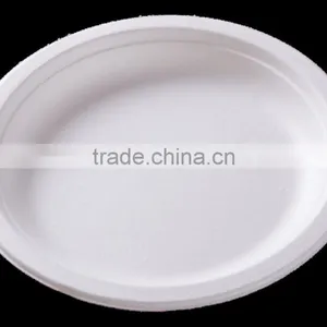 7 Inch Disposable Biodegradable Sugarcane Plates thumbnail-3