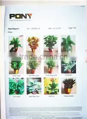 Dongguan Este Industry Co., Ltd. company overview - view 3 thumbnail