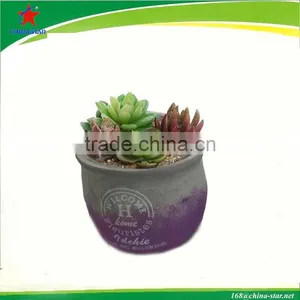 Round Cement Flower Pot With Carved Letters thumbnail-1