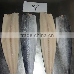 Frozen Spanish Mackerel Fillet thumbnail-2
