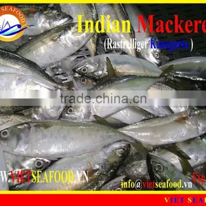FROZEN W/R INDIAN MACKEREL thumbnail-1