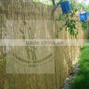 Reed Fence Screen for Gardening thumbnail-3