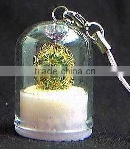 Mini Plant and Baby Plant Pet thumbnail-1