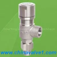 Spring Loaded Low Lift External Thread Type Safety Valve thumbnail-1