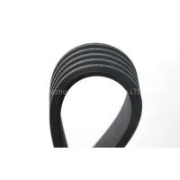 PK Belt thumbnail-1