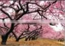 Customized Full Color 3d Lenticular For Your Own Design Poster Printing thumbnail-4