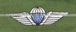 Parachute Wings thumbnail-1