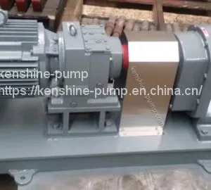 ZB3A Stainless Steel Lobe Rotor Pump thumbnail-1