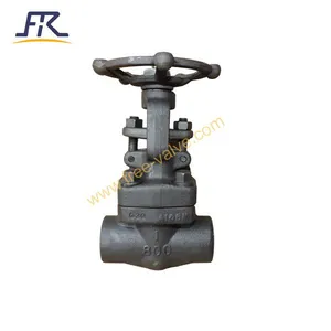 Forged Carbon Steel A105N Class 800 Gate Valve thumbnail-1
