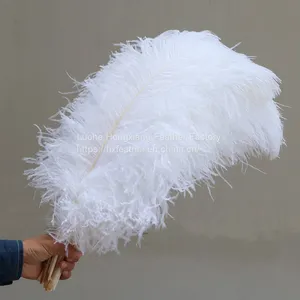 Natural 10-75cm Artificial Ostrich Feather for Party and Wedding Decoration thumbnail-1
