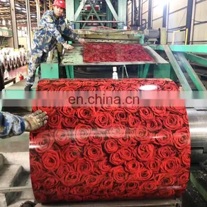 Double Coated Color Painted Metal Roll Paint Galvanized Zinc Coating PPGI PPGL Steel Coil/Sheets In Coils thumbnail-5