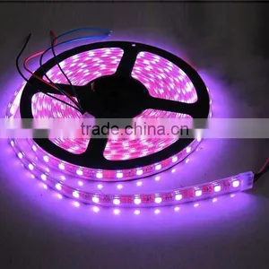 5050 LED Strip Light thumbnail-1