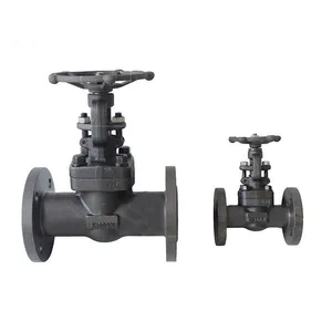 High Quality Forged Steel Gate Valve High Temperature and High Pressure Manual Flange Gate Valve thumbnail-2