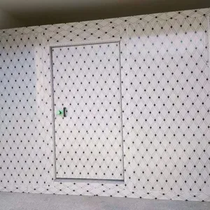 Medium Size Cold Storage,Cold Room,Cold House thumbnail-3