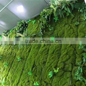 Home Decor Hot Selling Products for 2015 Artificial Plastic Green Moss Wall on Sale thumbnail-1