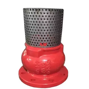JIS/ANSI/DIN Foot Valve PN16 Cast Iron GGG50 Ductile Iron Flange Stainless Steel Filter Strainer Water Pump Check thumbnail-2