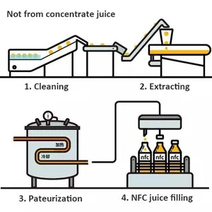 Cold Press NFC Orange Juice Production Plant Making Machines thumbnail-2