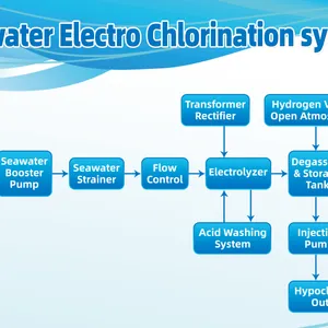 Seawater Electrochlorination Generator With Real-Time Output Monitoring thumbnail-3
