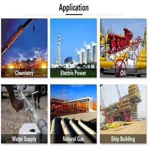 ISO CE Certified Carbon Steel Coil JIS/BIS Certified With Welding Bending Cutting Processing Services Export Inspection Report thumbnail-4