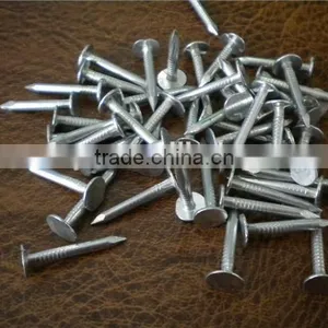 Galvanized Clout Nails Factory thumbnail-2