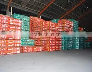 Linyi Zhengda Wood Co., Ltd. company overview - view 3 thumbnail