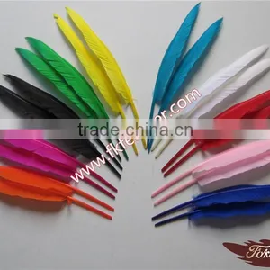 Wholesale Craft Goose Feather For Feather Pen Decoration thumbnail-1