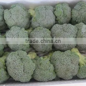 Bubble Box of Broccoli thumbnail-1