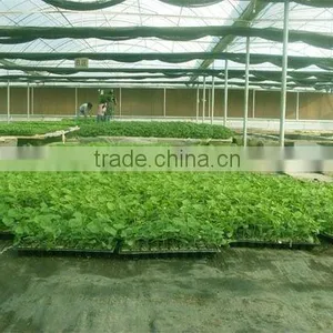pp Woven Weed Mat thumbnail-1